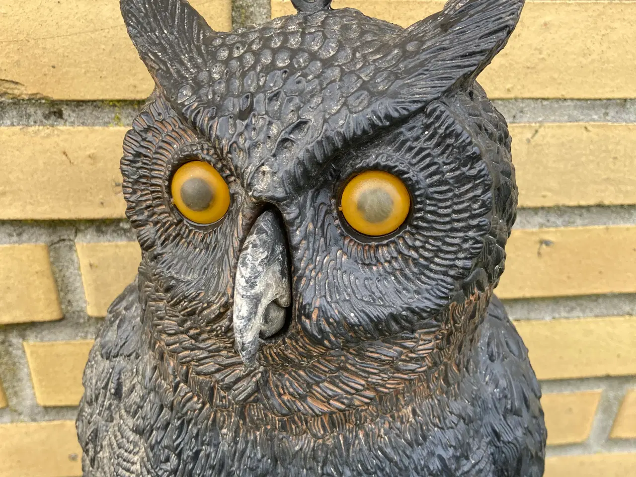 Billede 3 - Lokkeugle  skræmmeugle                   