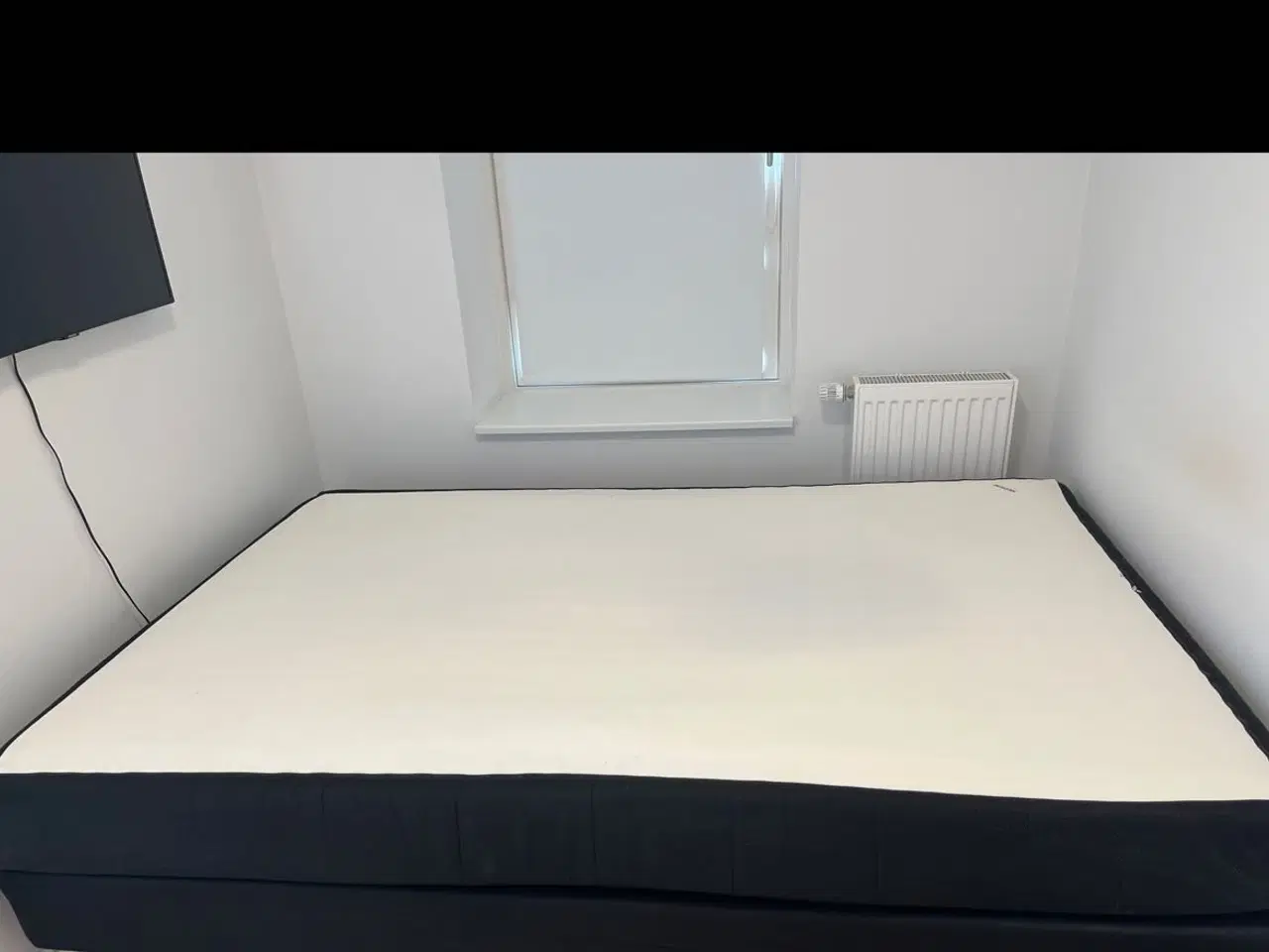 Billede 1 - Kontinentalseng sælges 