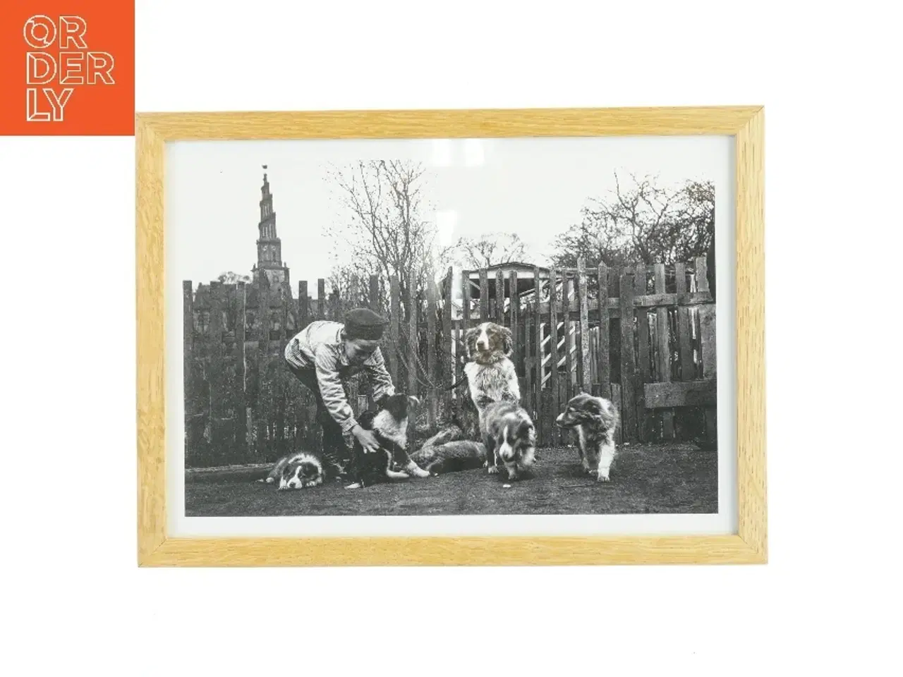 Billede 1 - Indrammet sort-hvid fotografi fra Nielsen (str. 21x29,7 cm)