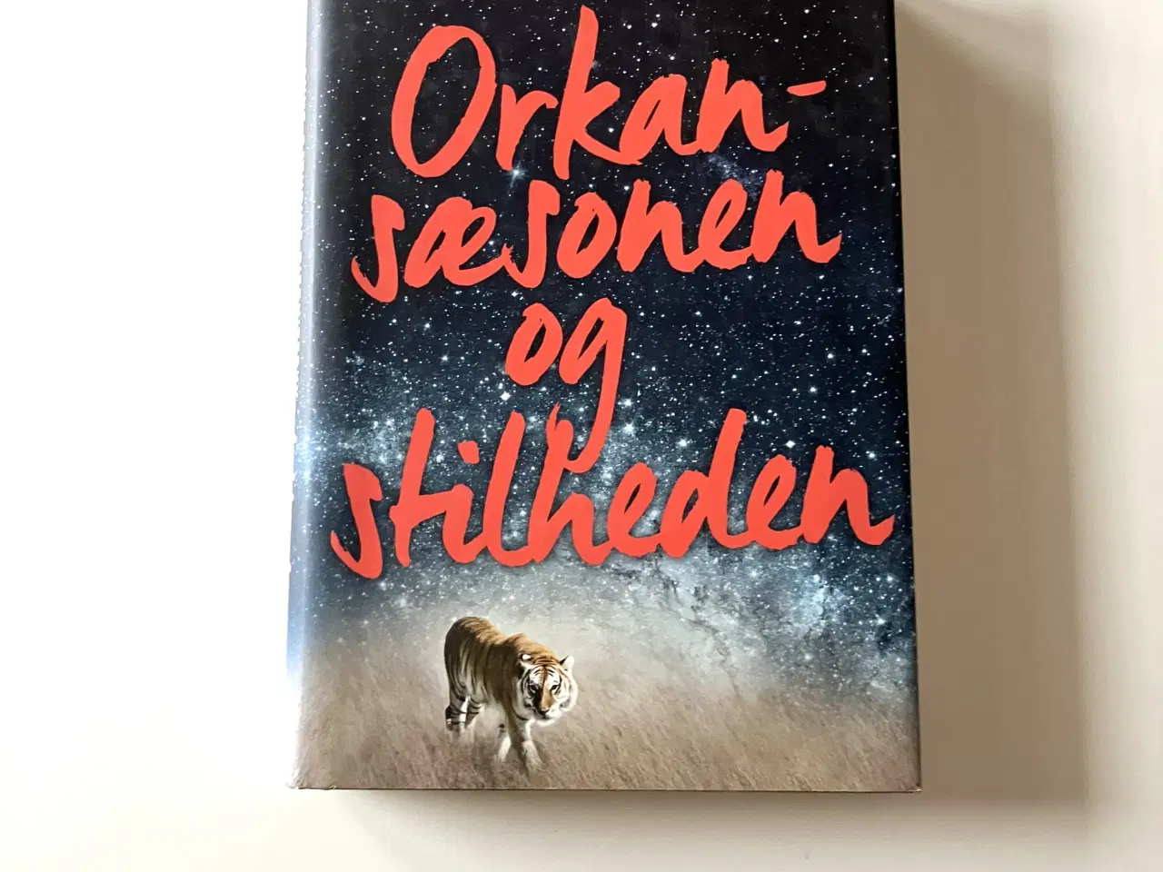 Billede 1 - Orkansæsonen og stilheden. Af Anne-C. Riebnitzsky