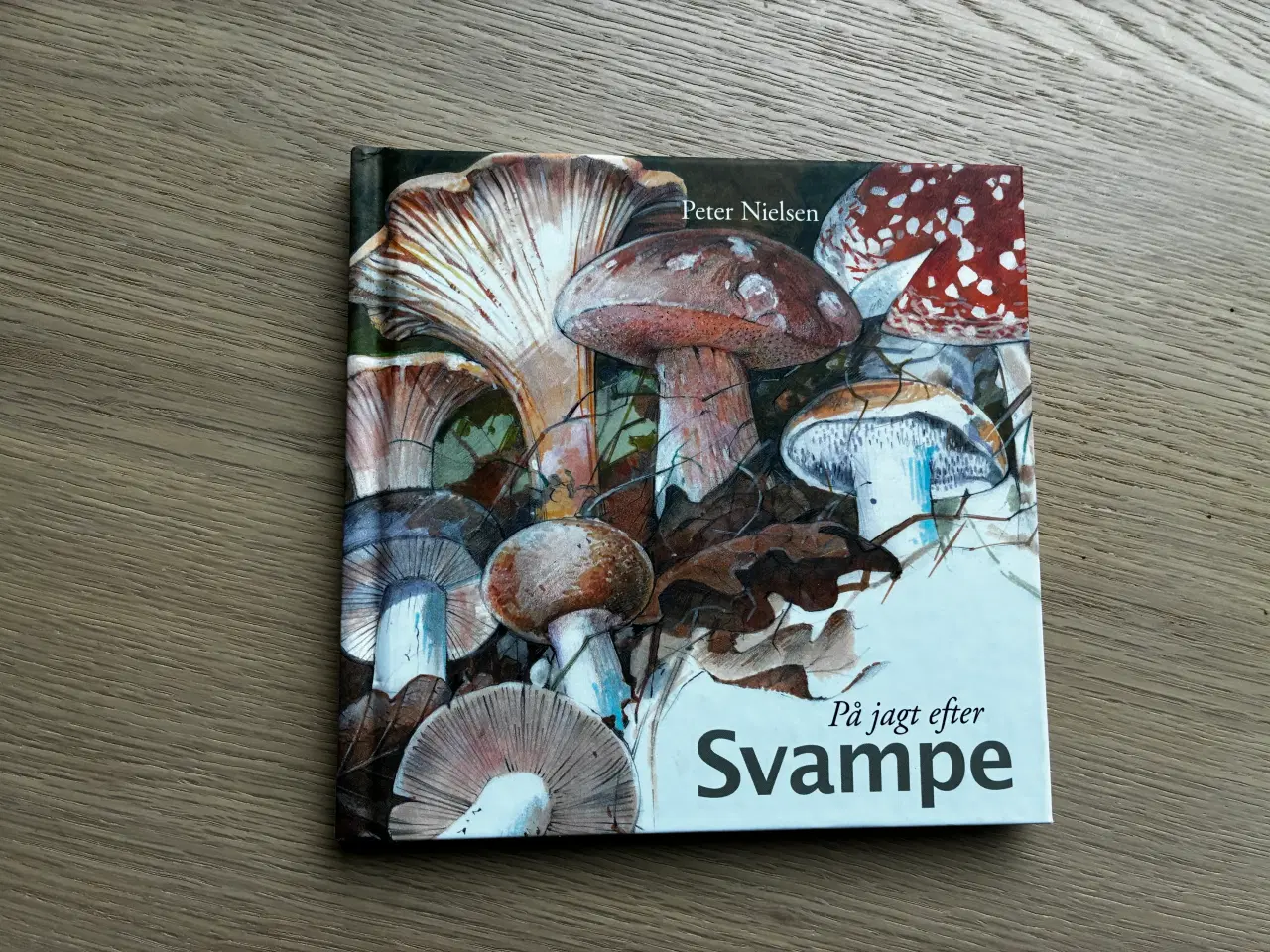 Billede 1 - På jagt efter Svampe  af Peter Nielsen