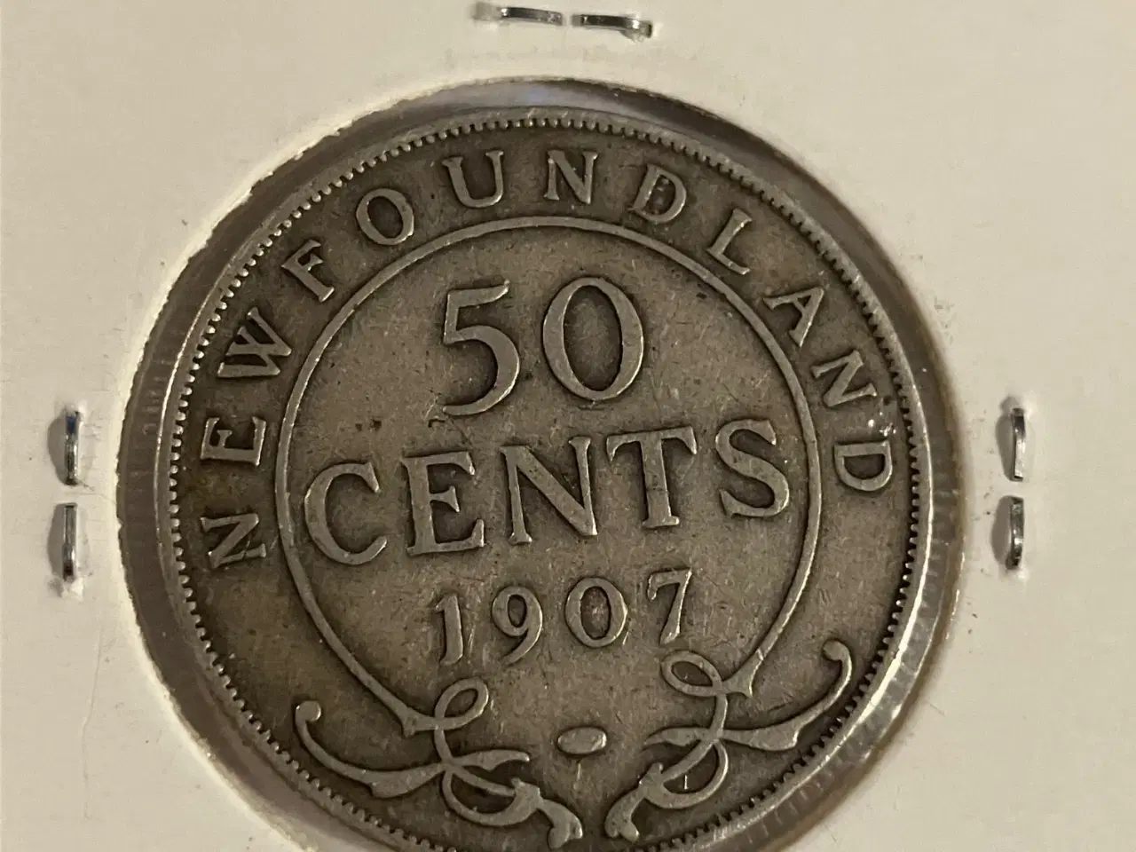 Billede 1 - 50 Cents New Foundland 1907