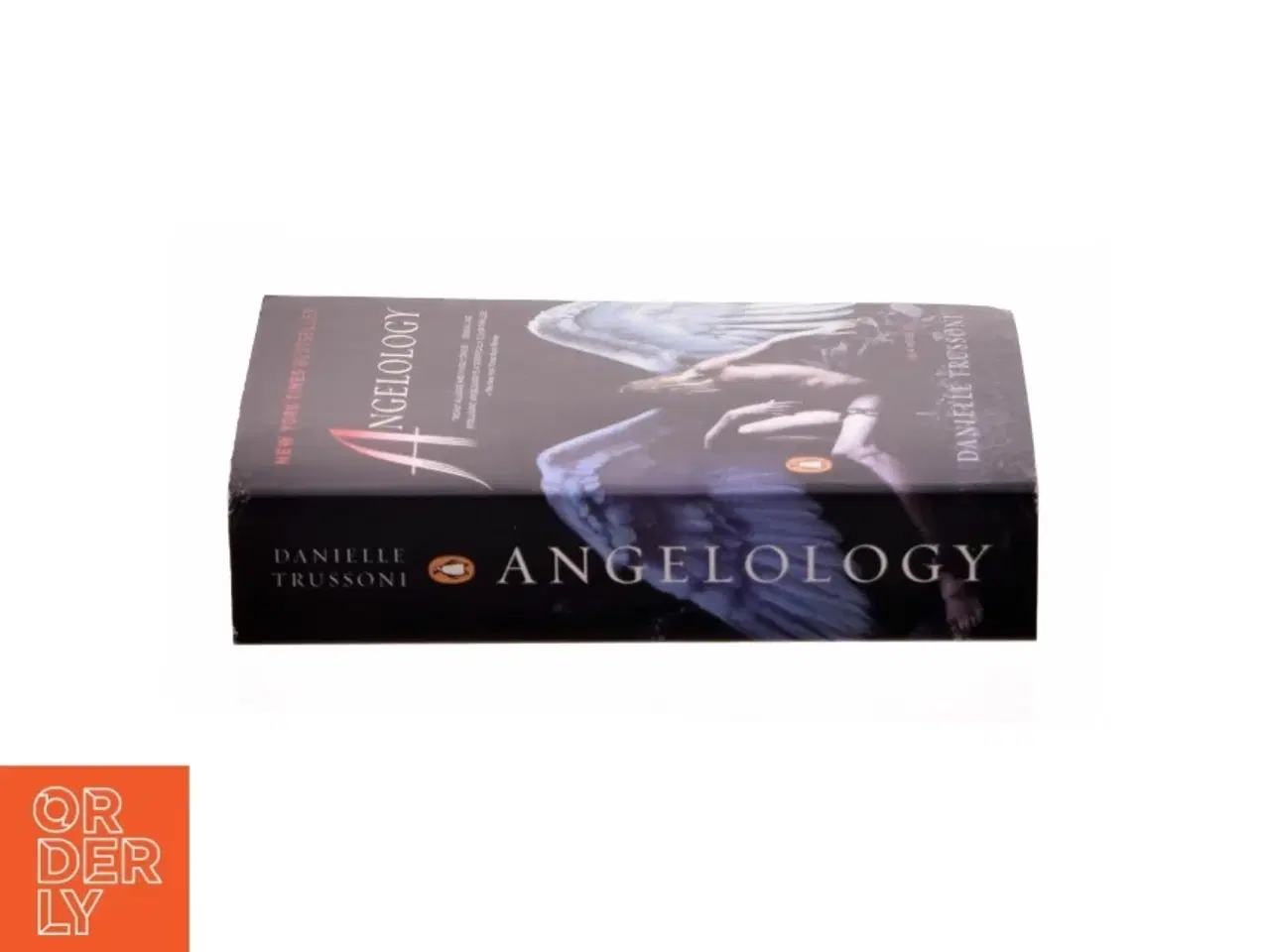 Billede 2 - Angelology af Danielle Trussoni (Bog)