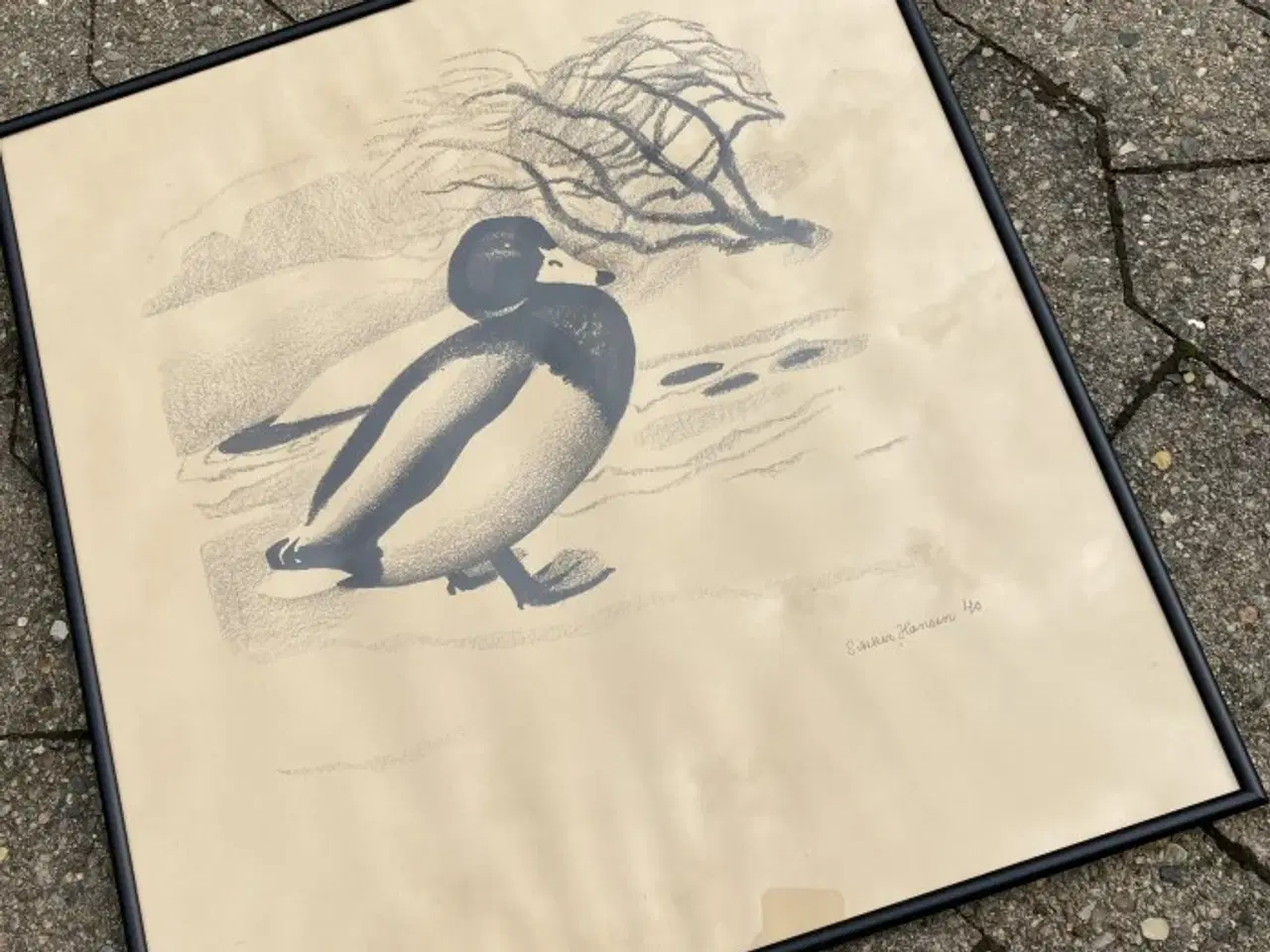 Billede 1 - Sikker Hansen – and  