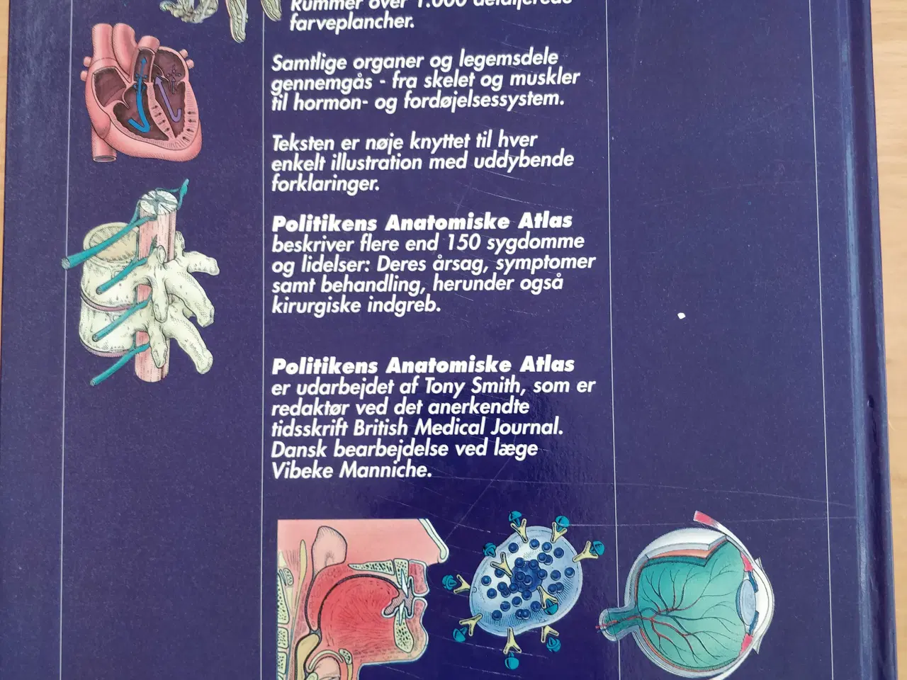 Billede 4 - Politikens anatomiske atlas