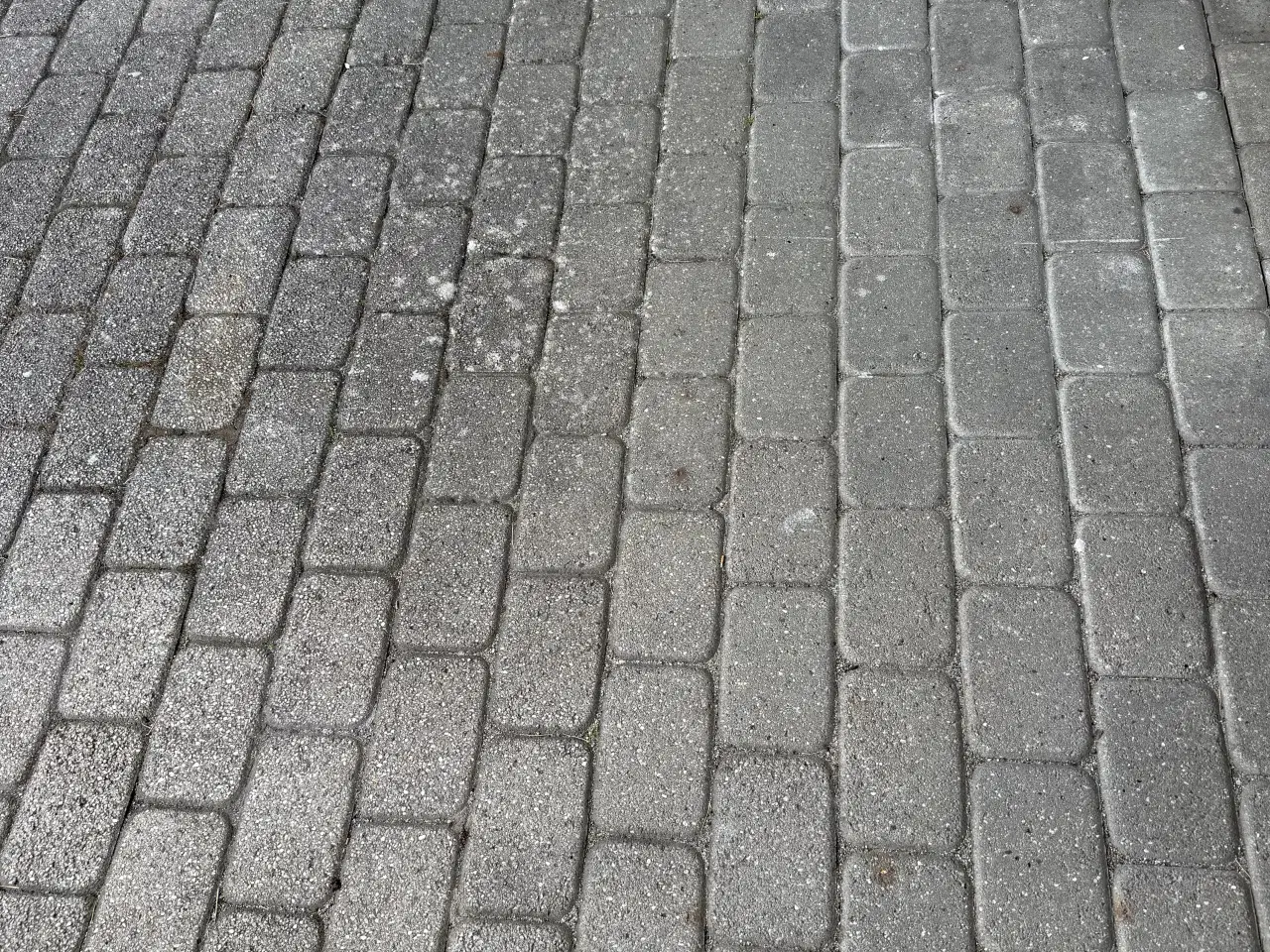 Billede 2 - Bondesten gratis 