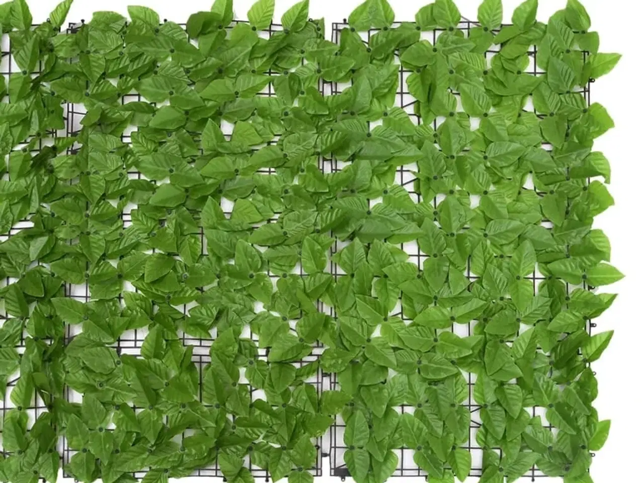 Billede 3 - Altanafskærmning 300x100 cm grønne blade