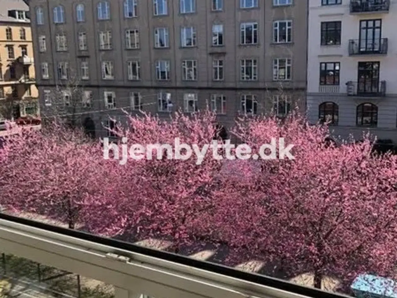 Billede 1 - Hjembytte - SønderBoulevard