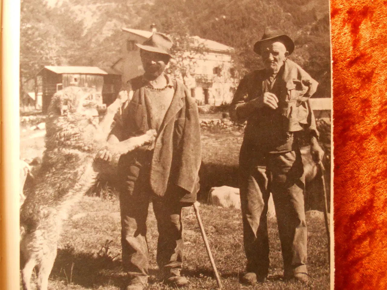 Billede 2 - Til guden på et helligt bjerg, Peter V. Glob,
