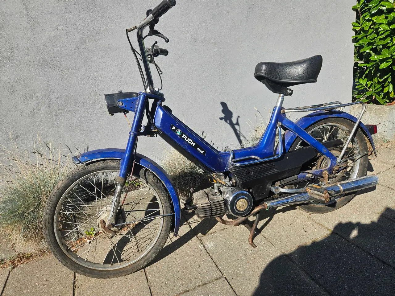 Billede 1 - Puch Maxi P