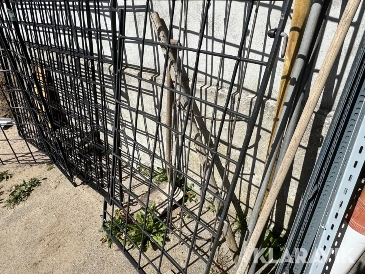 Billede 5 - Hegn