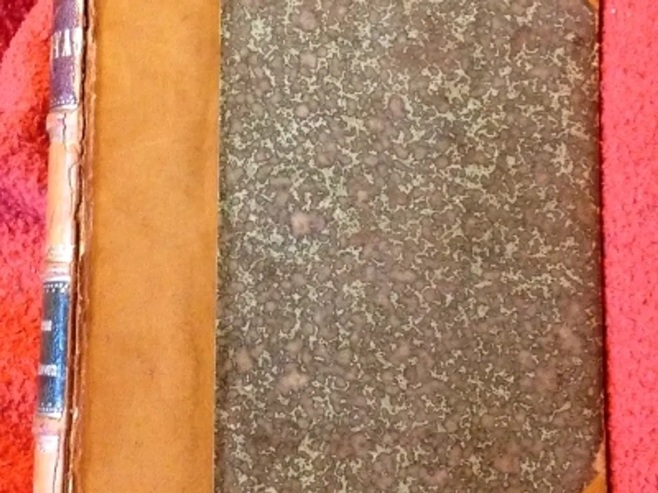 Billede 1 - Frederick Marryat: Børnene i Nyskoven