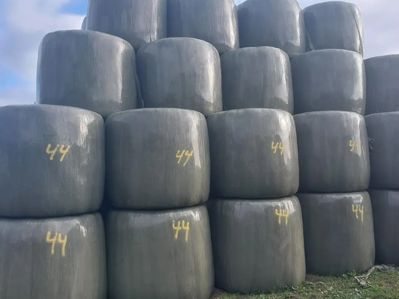 Billede 1 - Wrap tørt/groft kløvergræs (økologisk)