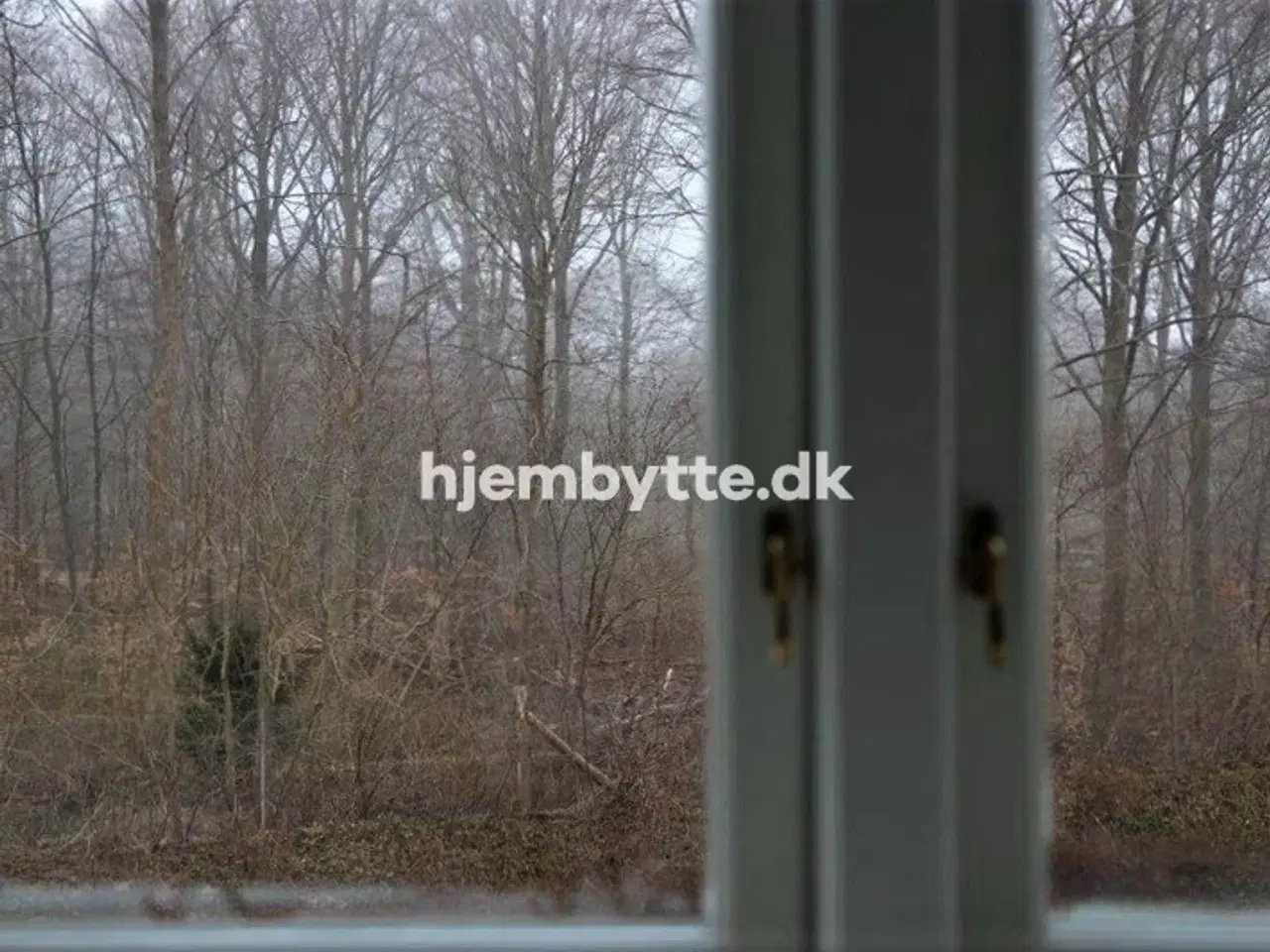 Billede 6 - Hjembytte - Dyrehavevej