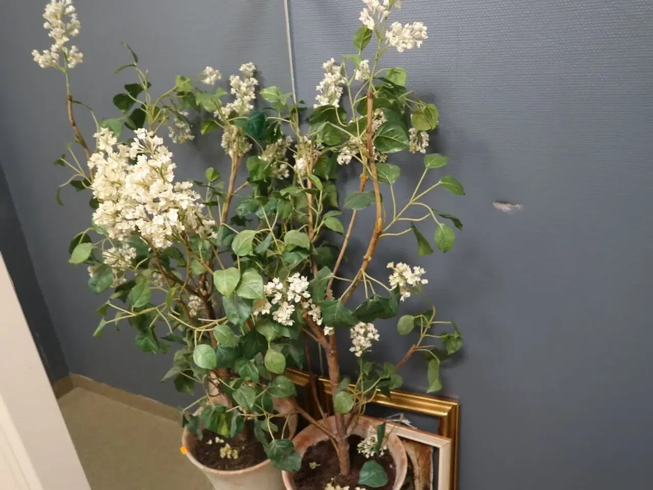 Billede 2 - Kunstigplante i krukke