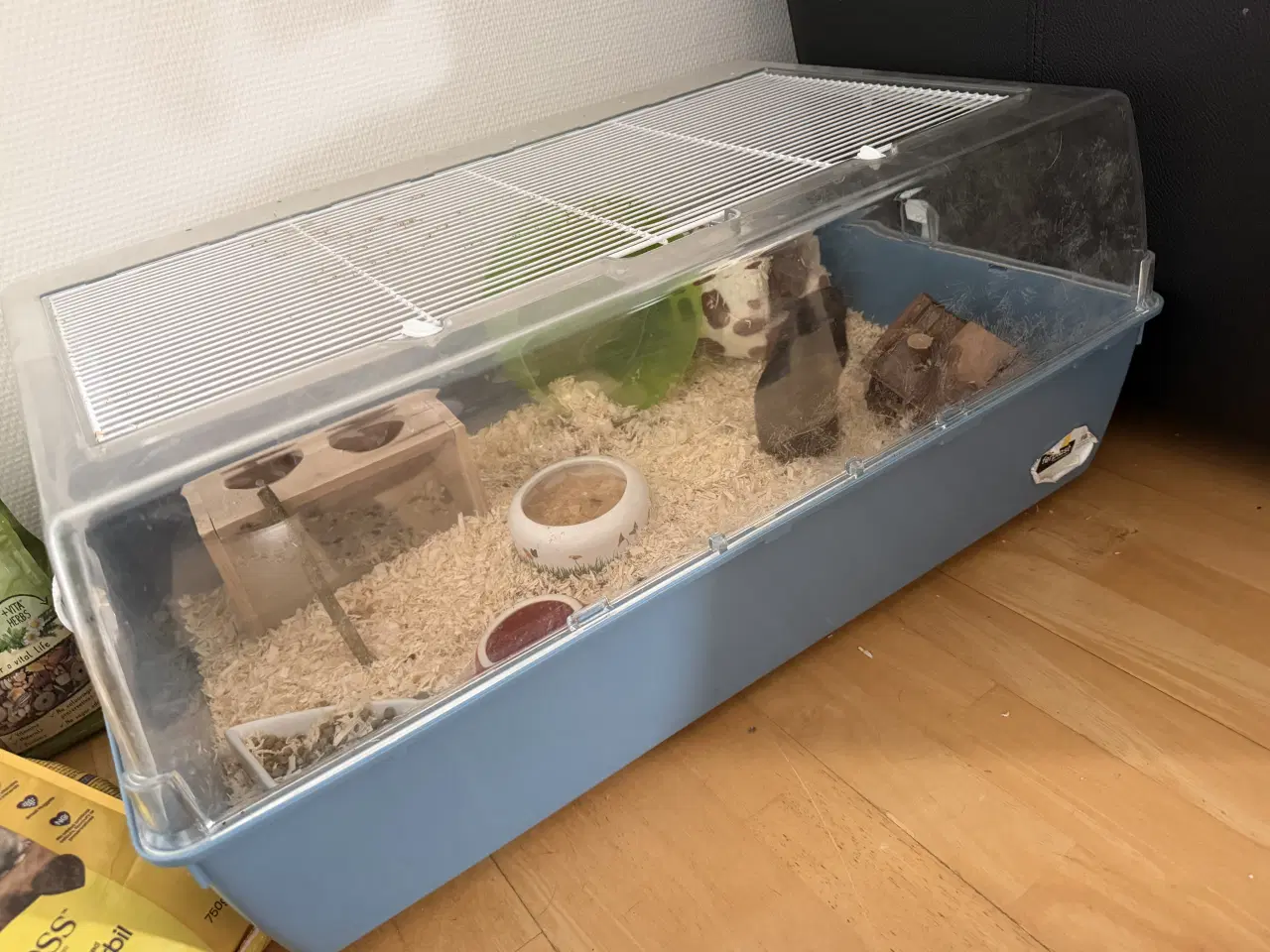 Billede 3 - 2 Guldhamster 