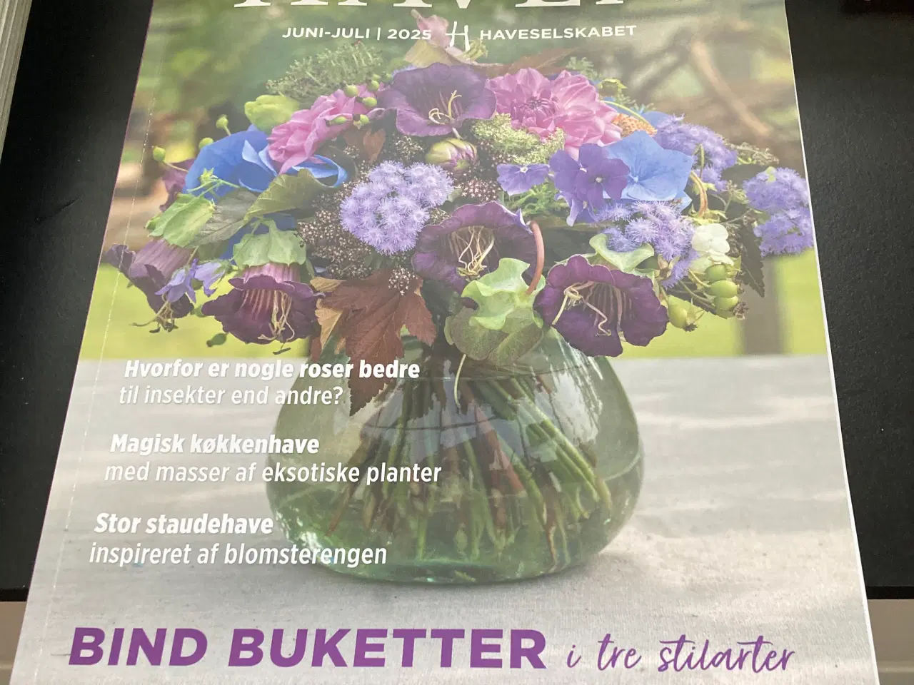 Billede 1 - Haven have blad