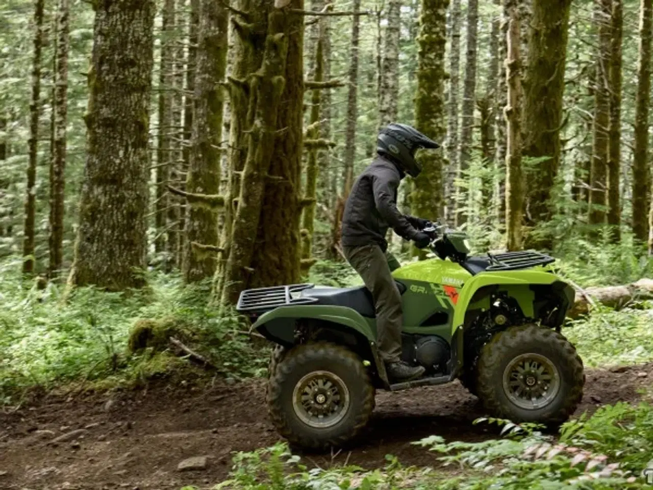 Billede 15 - Yamaha Grizzly 700 EPS Traktor