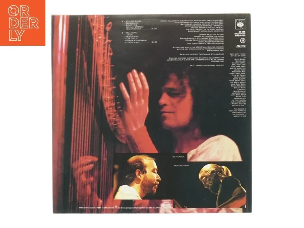 Billede 2 - Andreas Vollenweider: under the tree, in the cave (str. 30 cm)