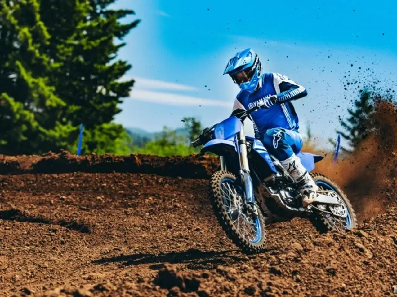 Billede 6 - Yamaha YZ 250 F