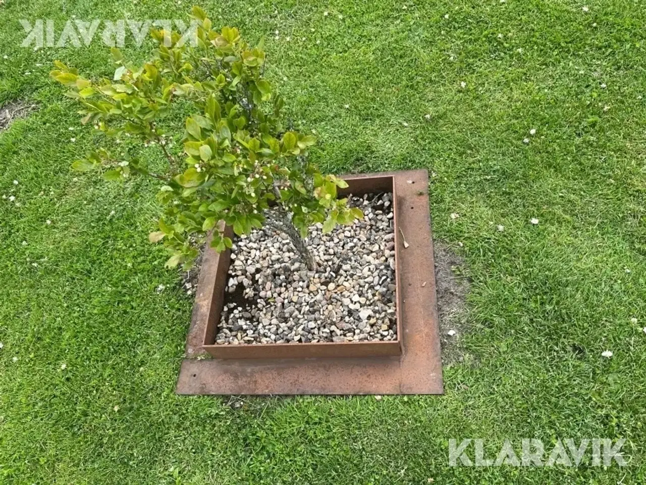 Billede 6 - Bed kanter Corten Stål