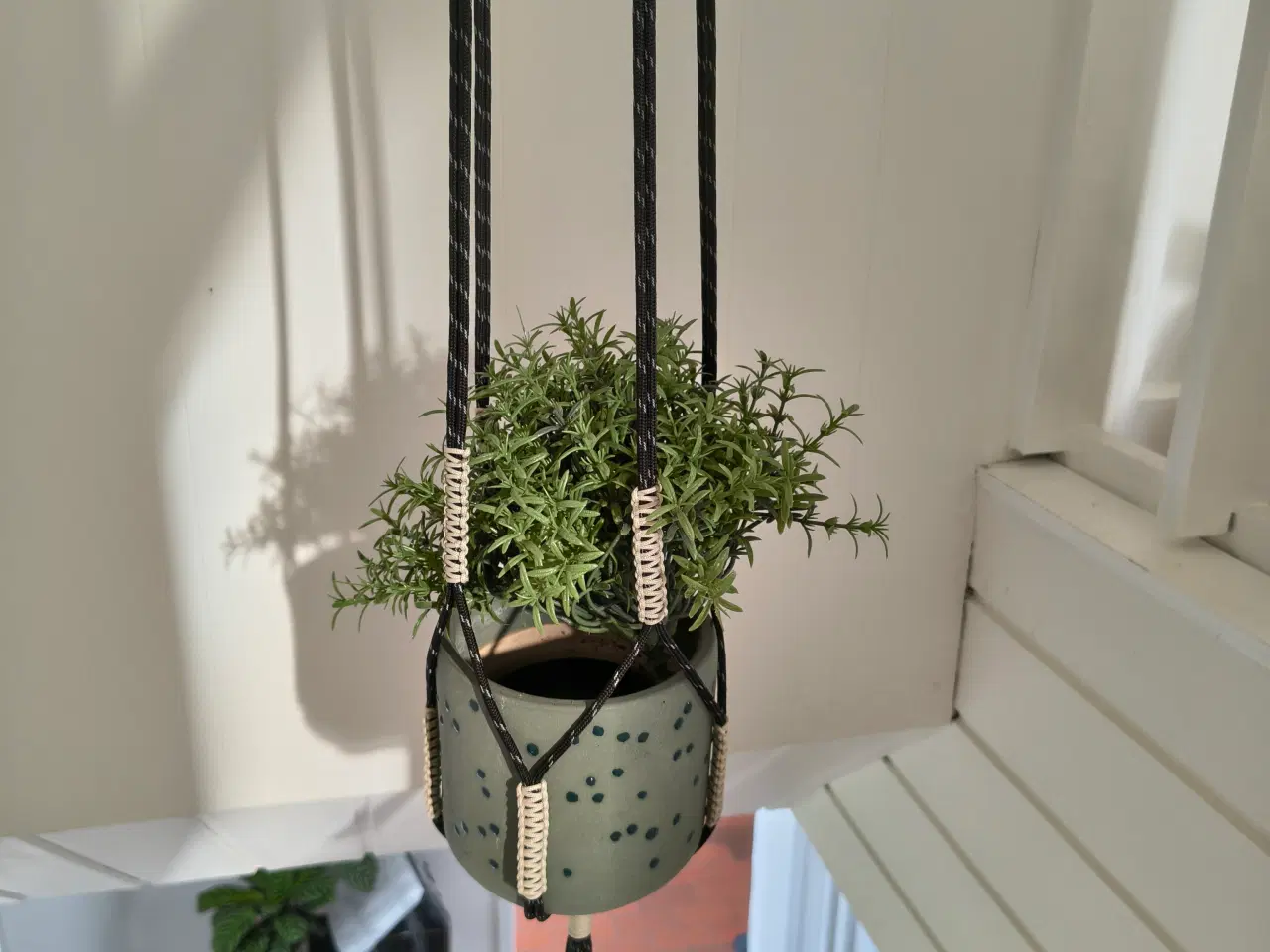 Billede 3 - HAY ophæng til plante