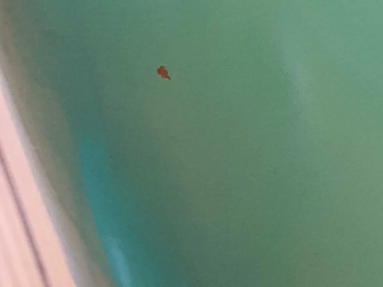 Billede 4 - Bordlamper