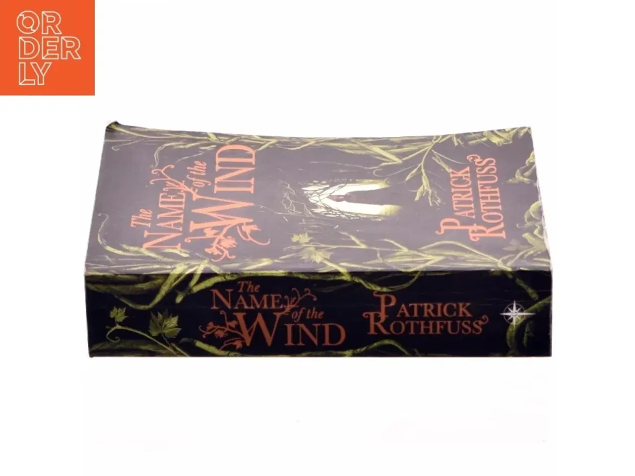 Billede 2 - The name of the wind af Patrick Rothfuss (Bog)
