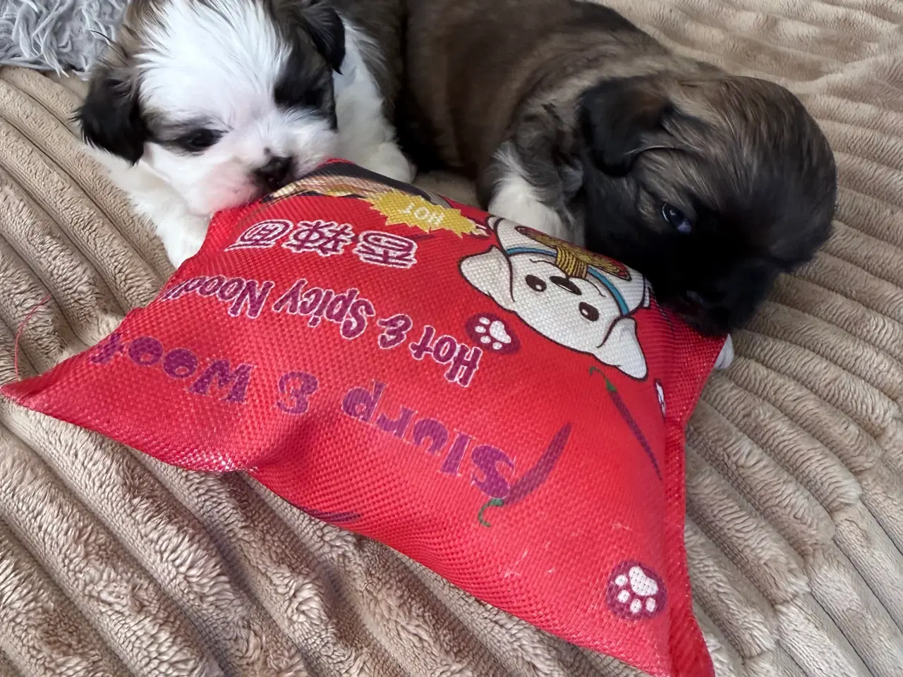 Billede 8 - Allergi venlige bomulds blandinger