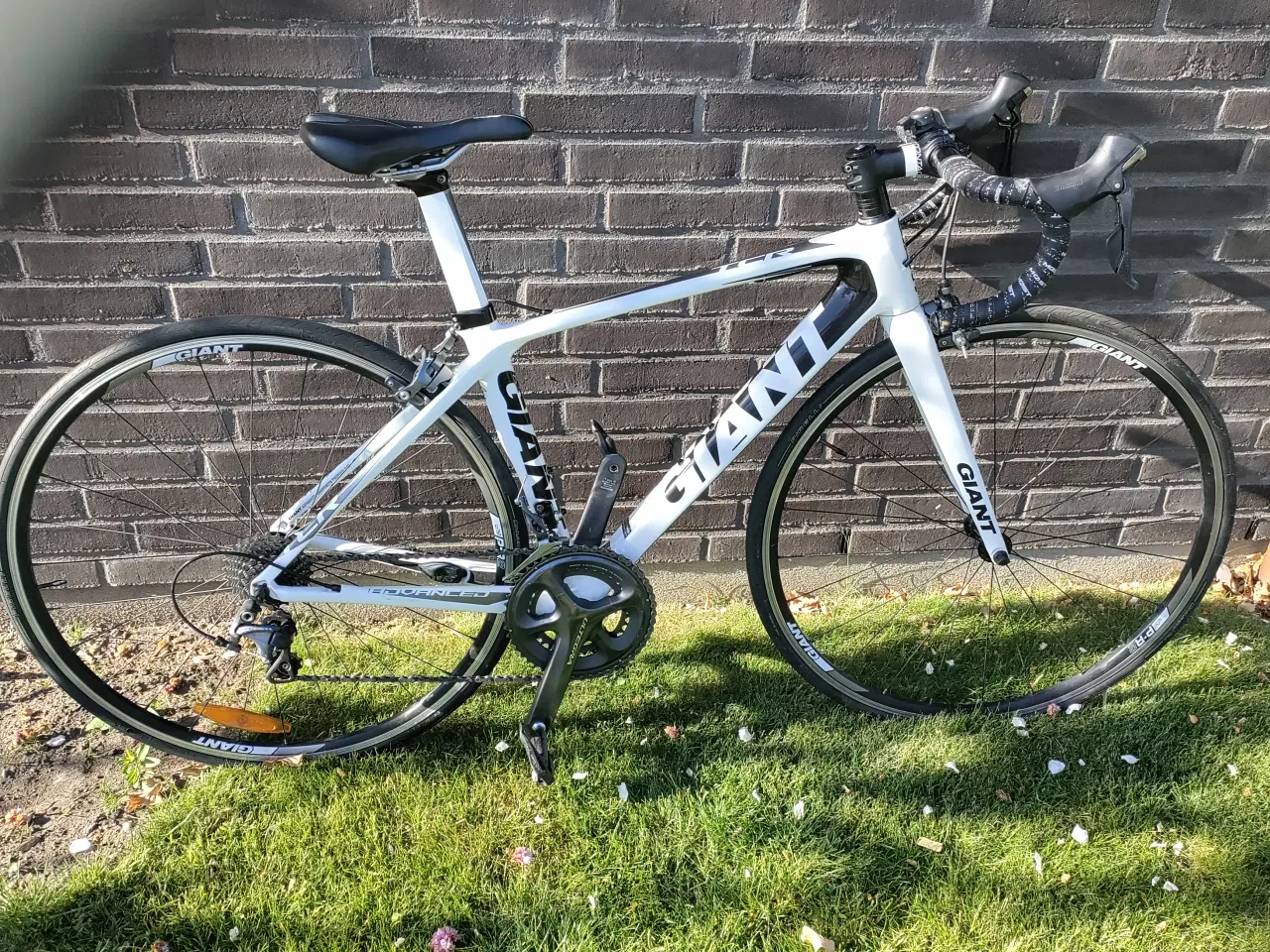 Billede 1 - Giant carbon racercykel