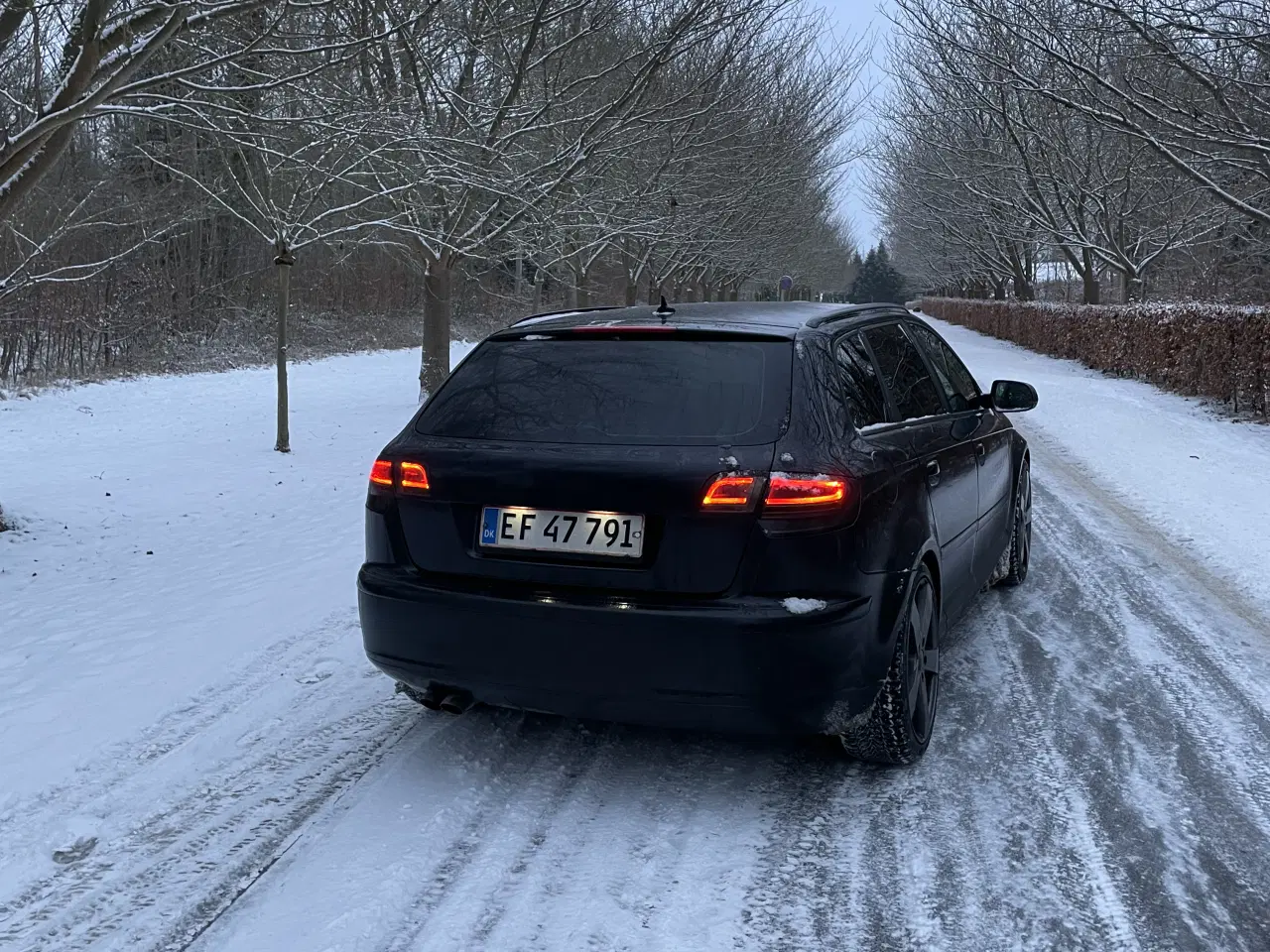 Billede 2 - Audi A3 8P 2.0 TDI Quattro – Veludstyret & velkøre