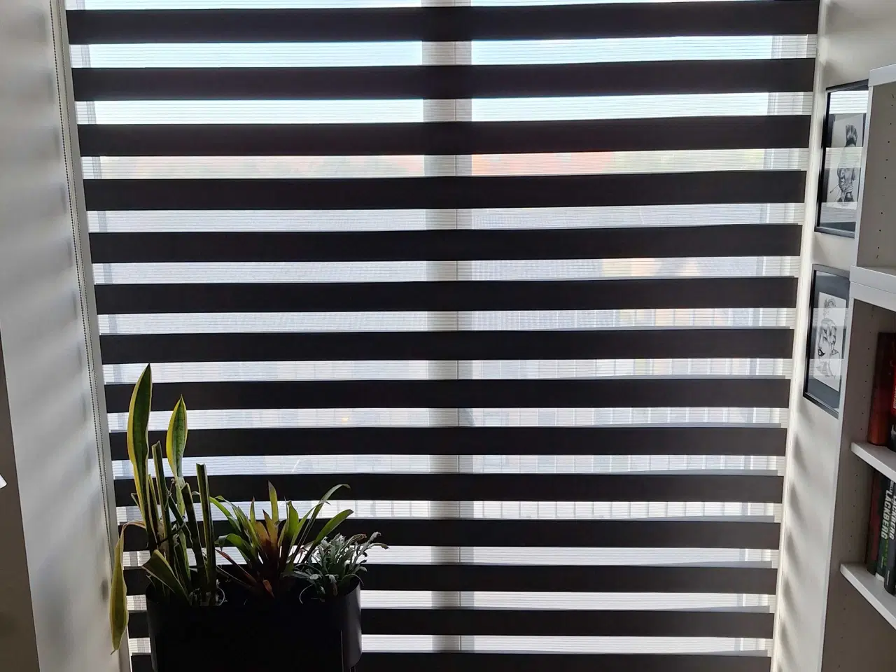 Billede 1 - Duo rullegardiner