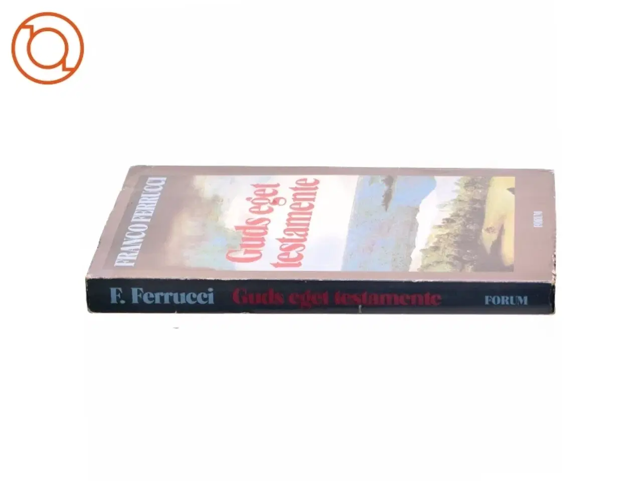 Billede 2 - Guds eget testamente af Franco Ferrucci (bog)