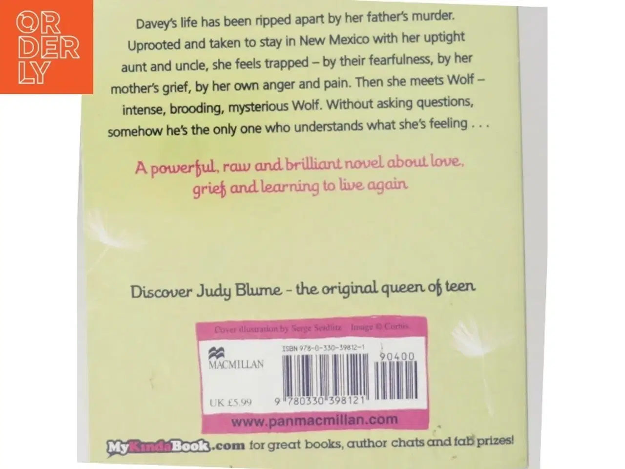 Billede 3 - Tiger Eyes af Jydy Blume (Bog)