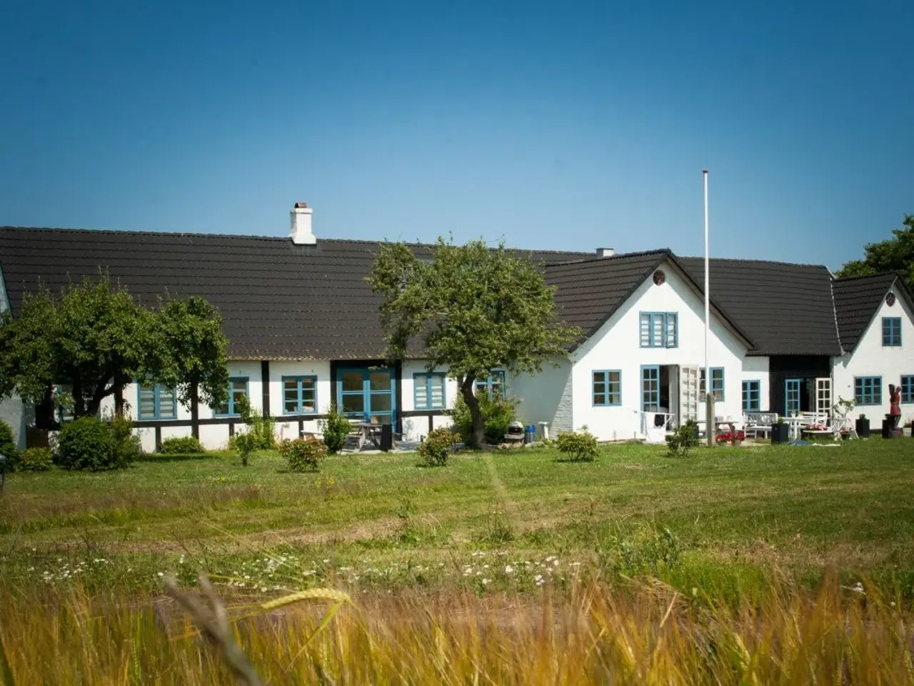 Billede 2 - Vinbonden har havudsigt i den sk�nneste natur.