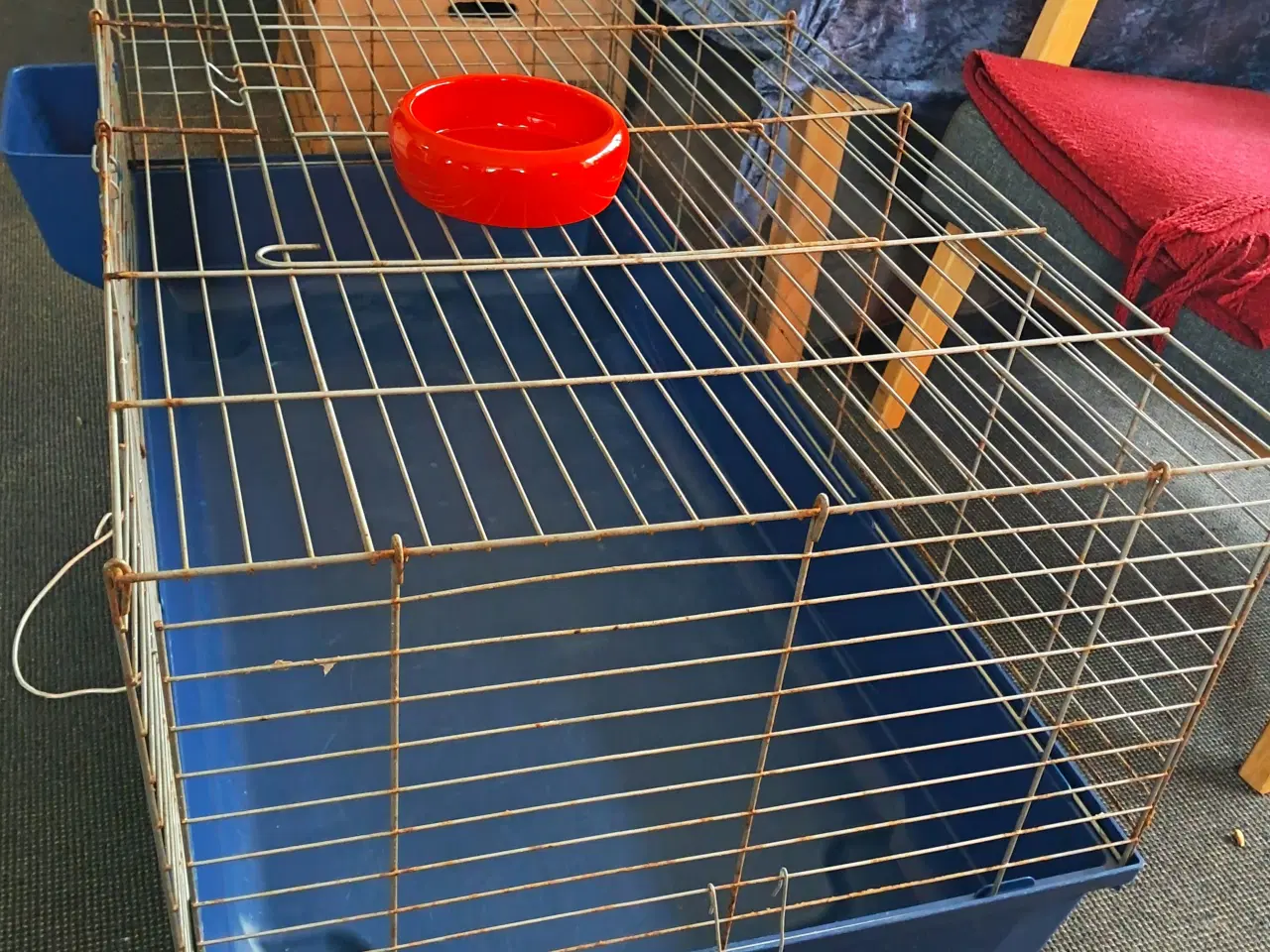 Billede 4 - Stort fint gnaverbur med tilbehør.