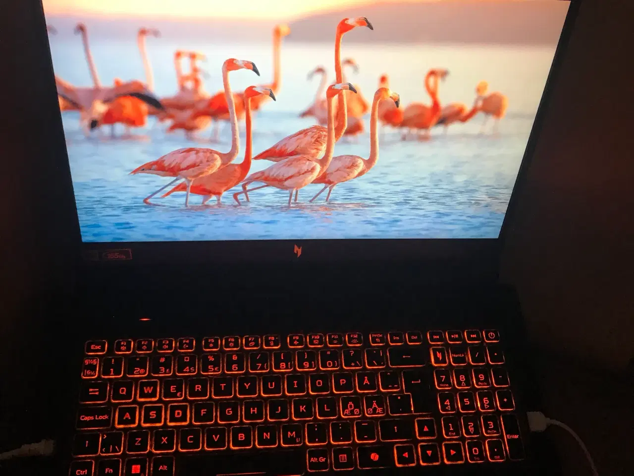 Billede 1 - Acer Nitro v16