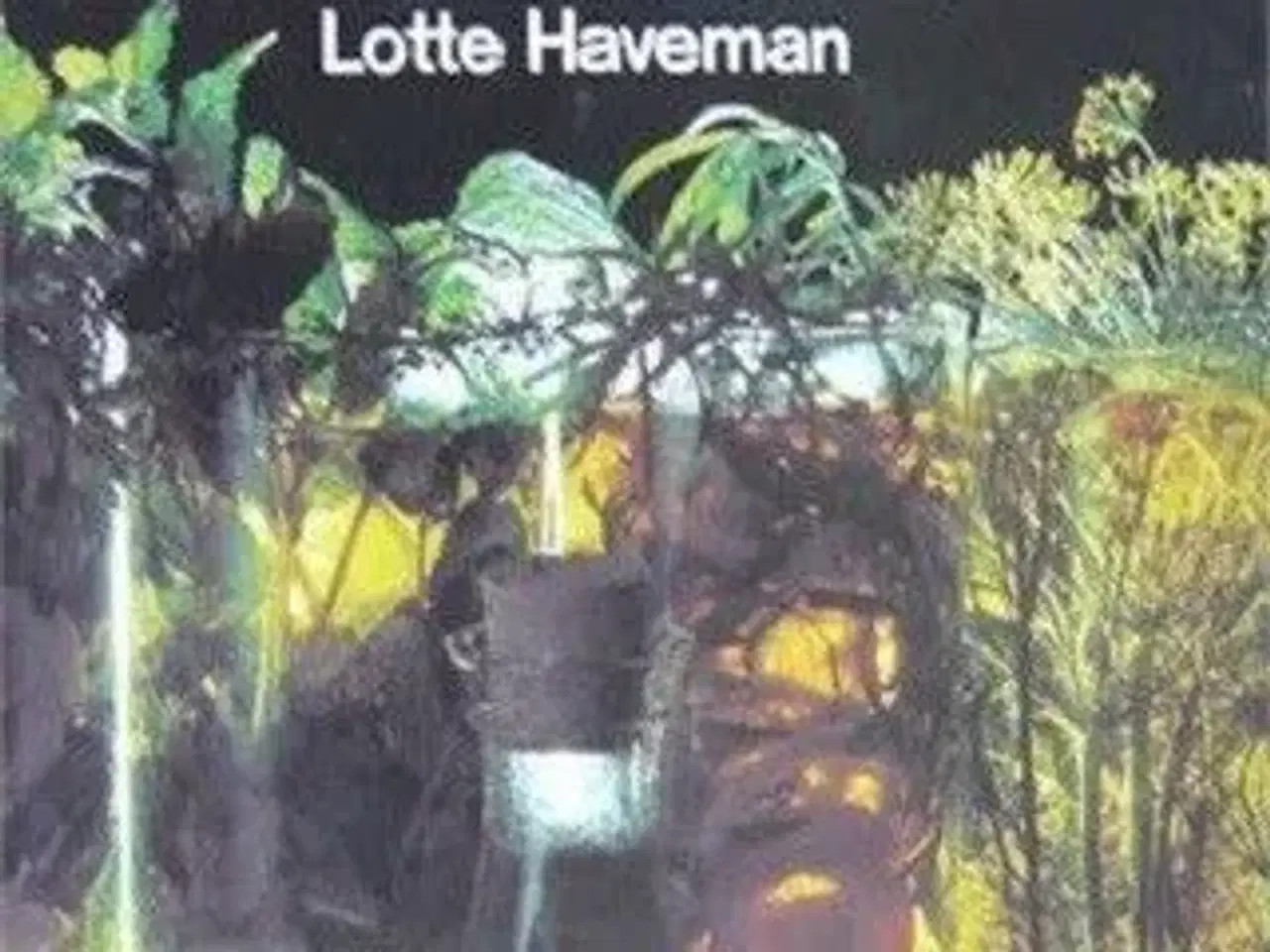 Billede 1 - Bogen om kryddeurter i madlavnigen - Lotte Haveman