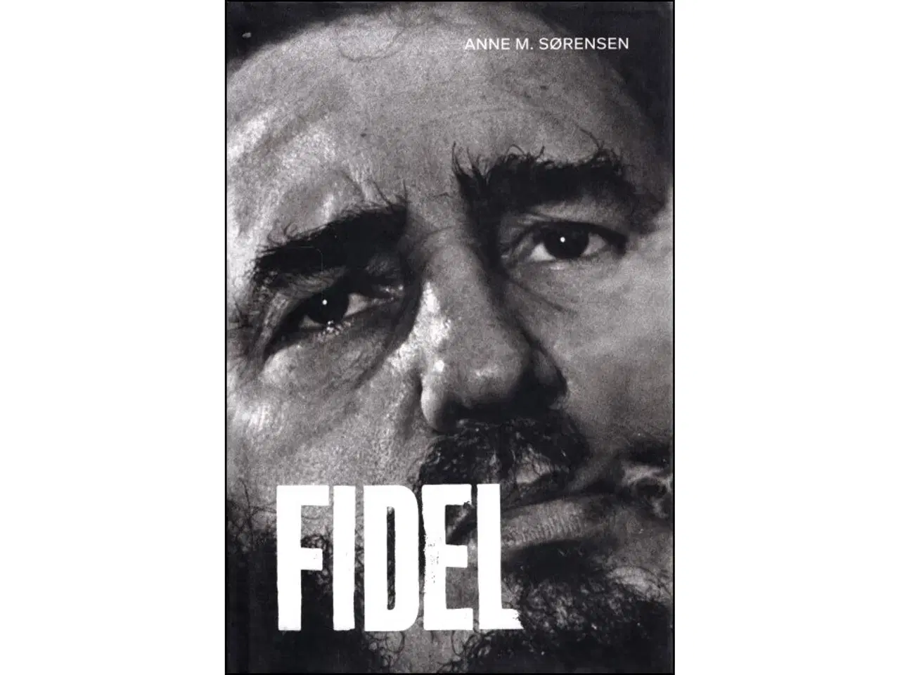 Billede 1 - Fidel