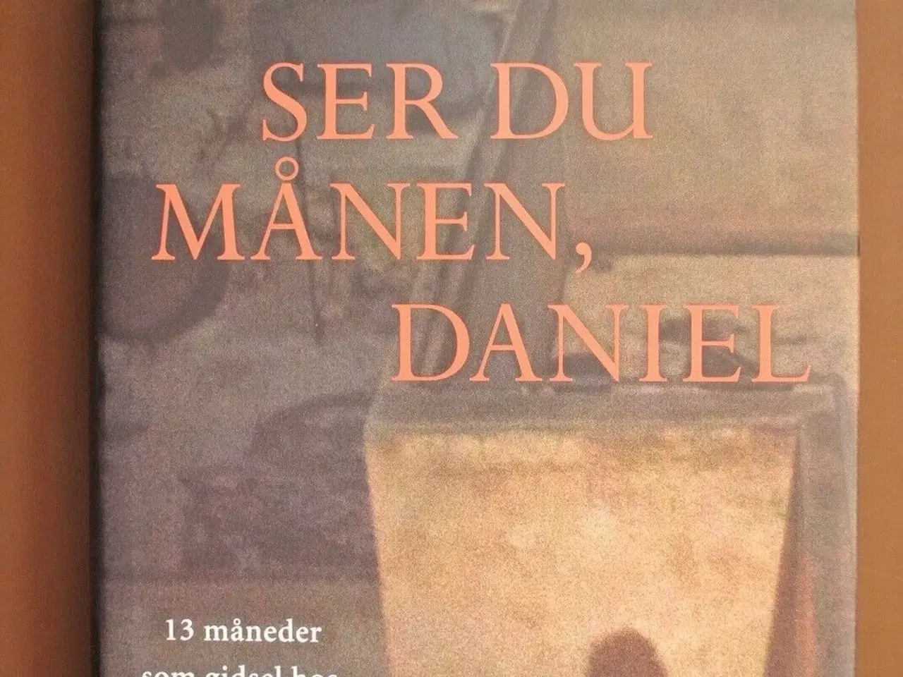 Billede 1 - ser du månen, daniel - 13 måneder som gidsel hos ,