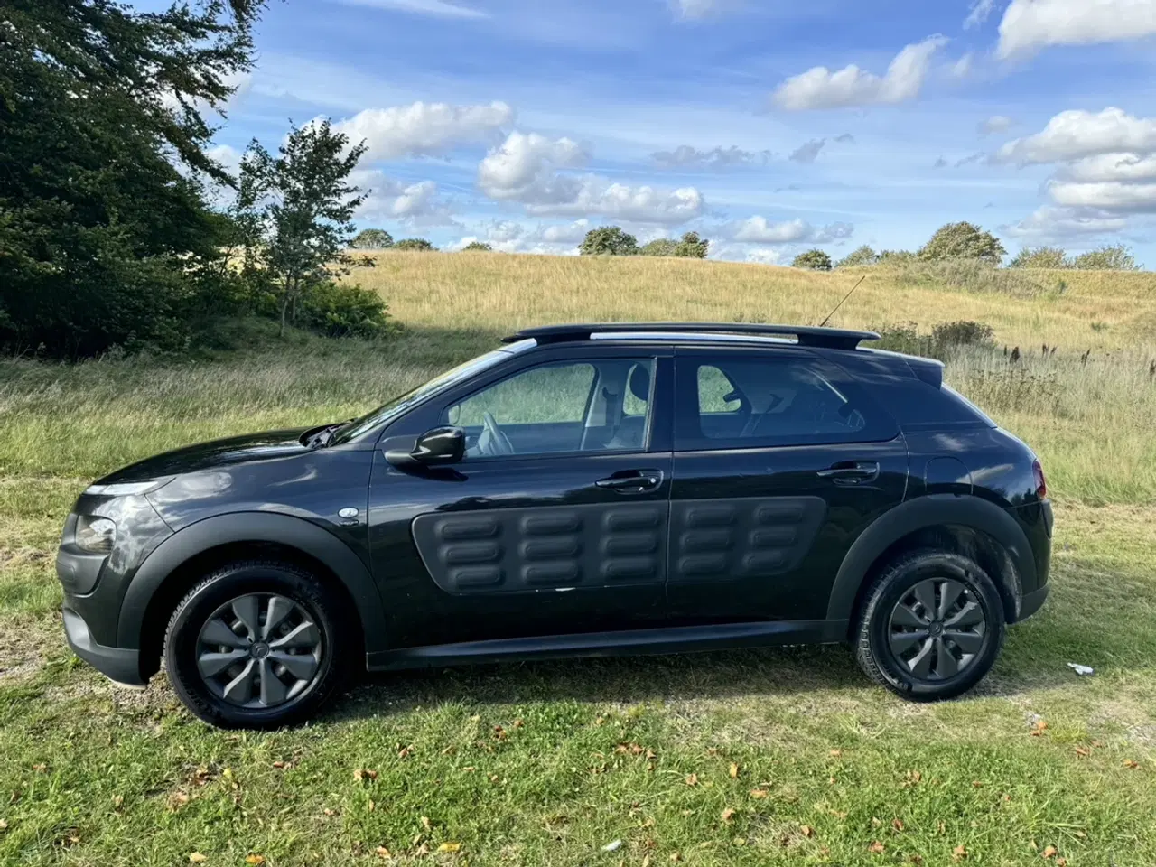 Billede 3 - Citroën C4 Cactus