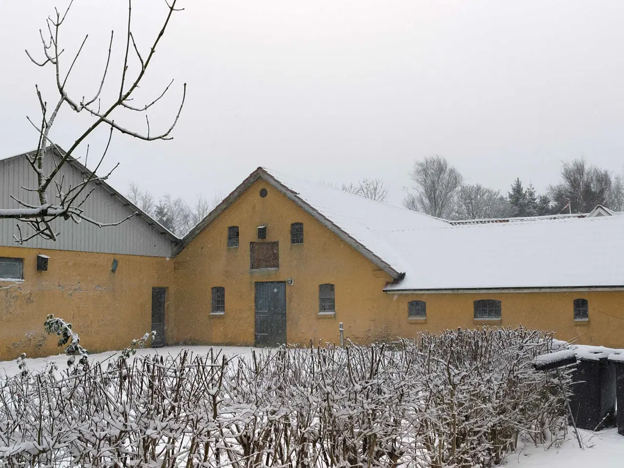 Billede 5 - Hyggelig landejendom tæt på Ansager 