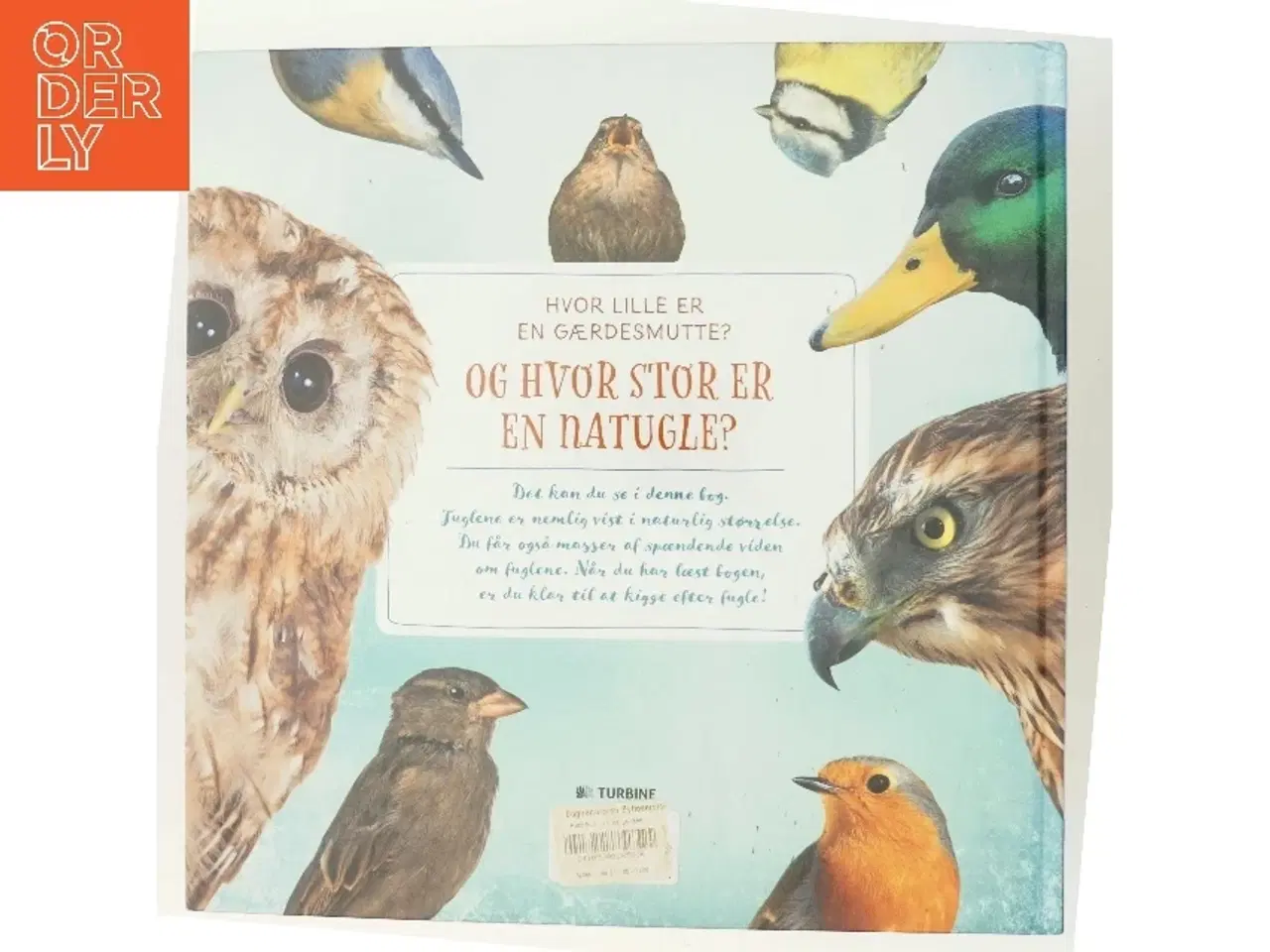 Billede 3 - Hvilken fugl er størst? af Daniela Straß (Bog)