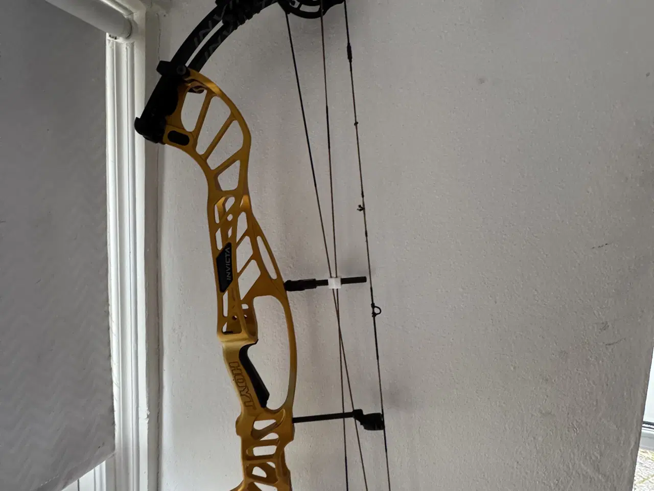 Billede 1 - Hoyt compoundbue Invicta 37