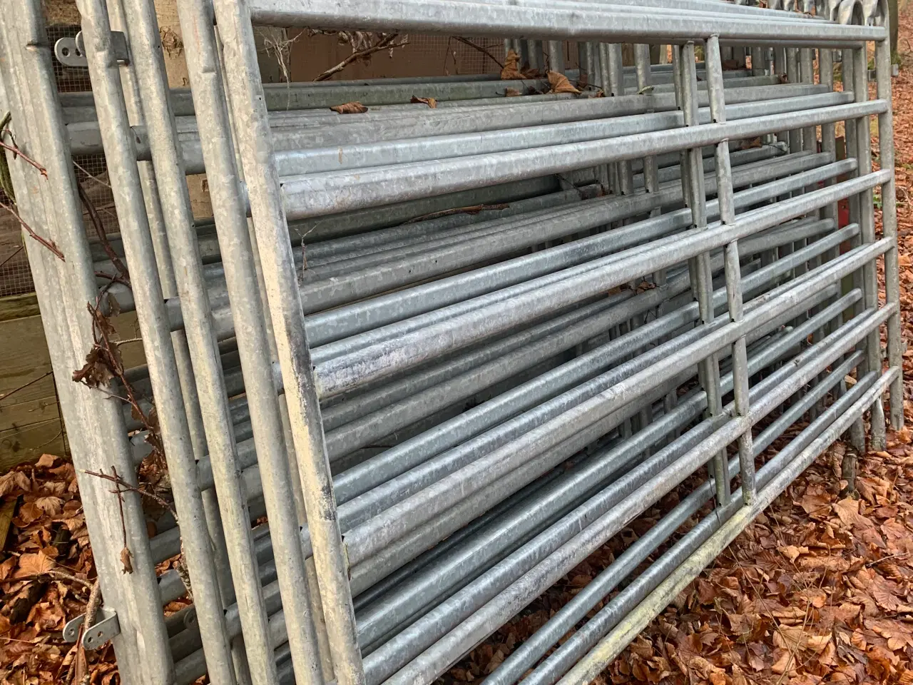 Billede 2 - Fangefold til kvæg