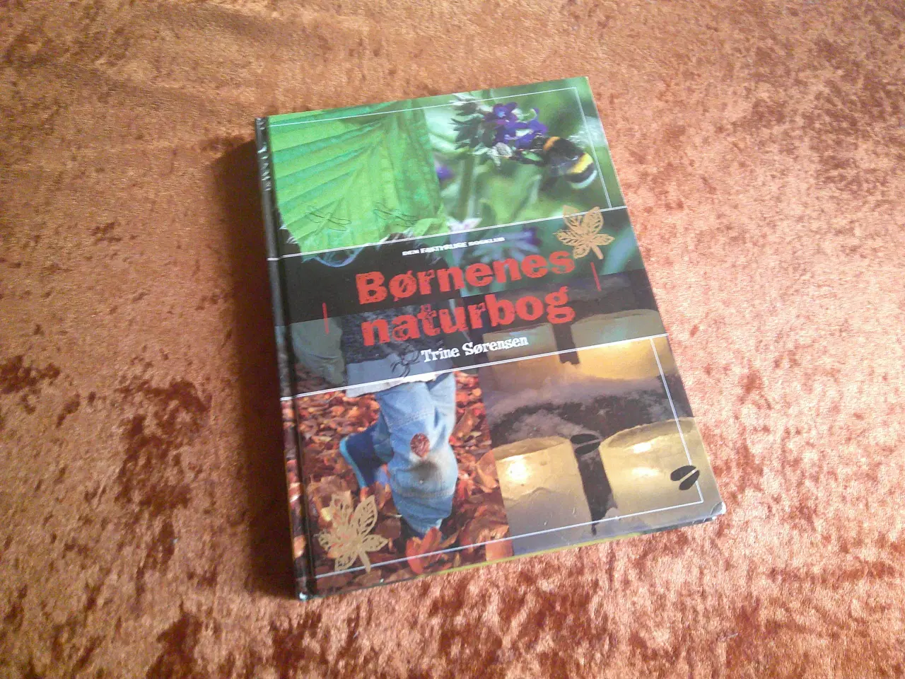 Billede 1 - Børnenes naturbog, Trine Sørensen