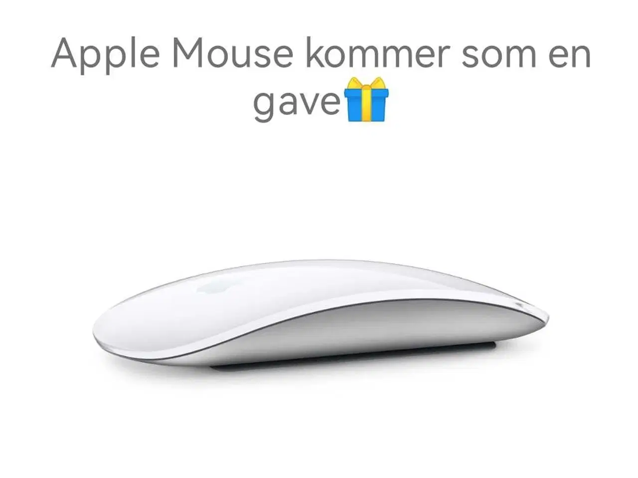 Billede 11 - Hp Probook 445 G11 