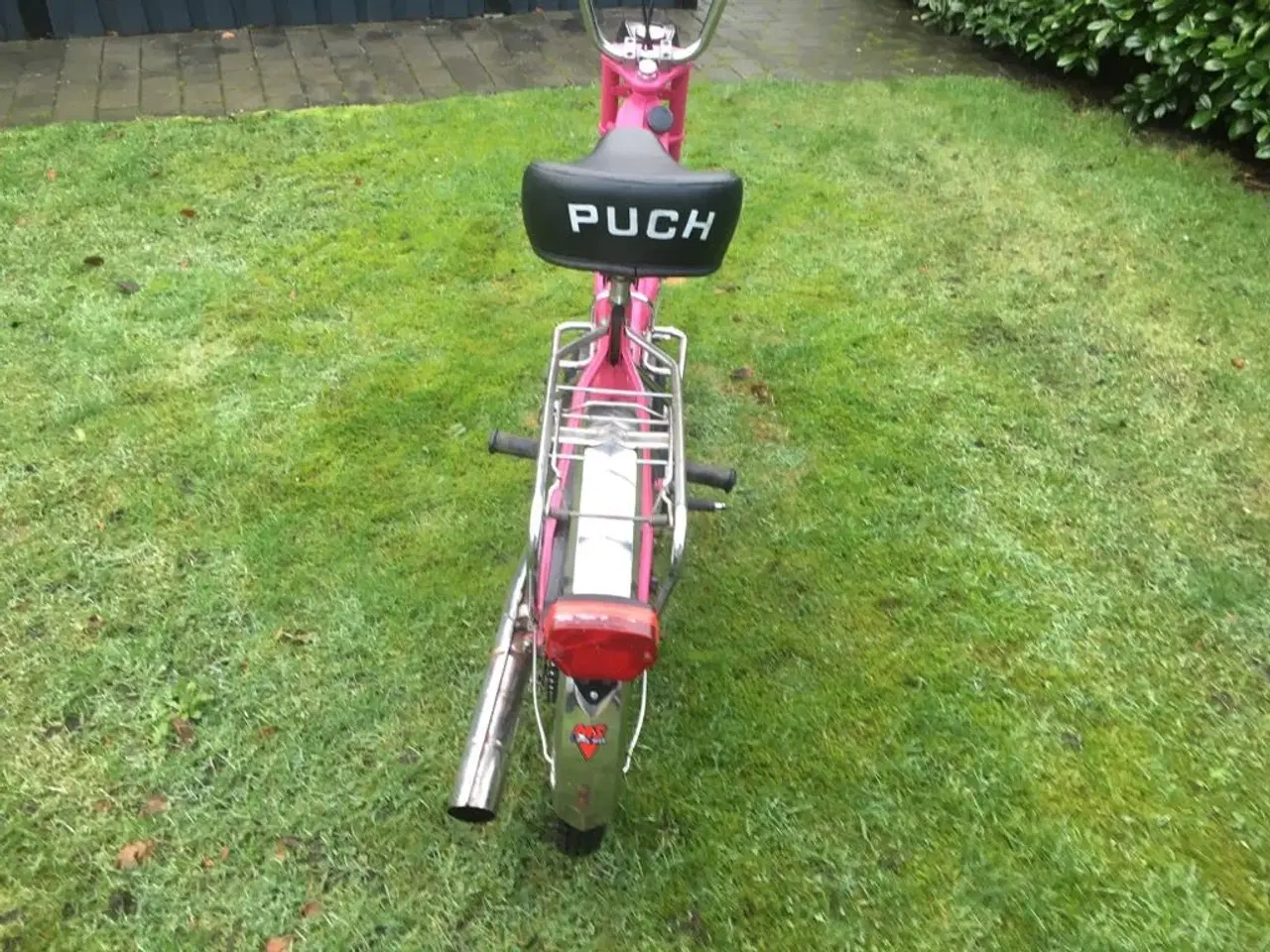 Billede 4 - Puch maxi 