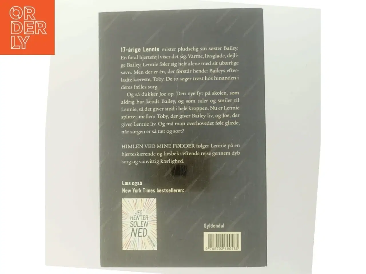 Billede 3 - Himlen ved mine fødder af Jandy Nelson (Bog)