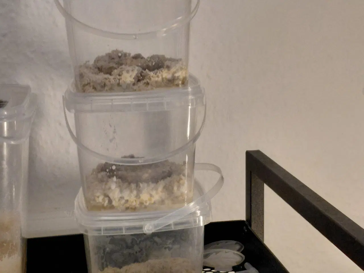 Billede 1 - Micro orm foder